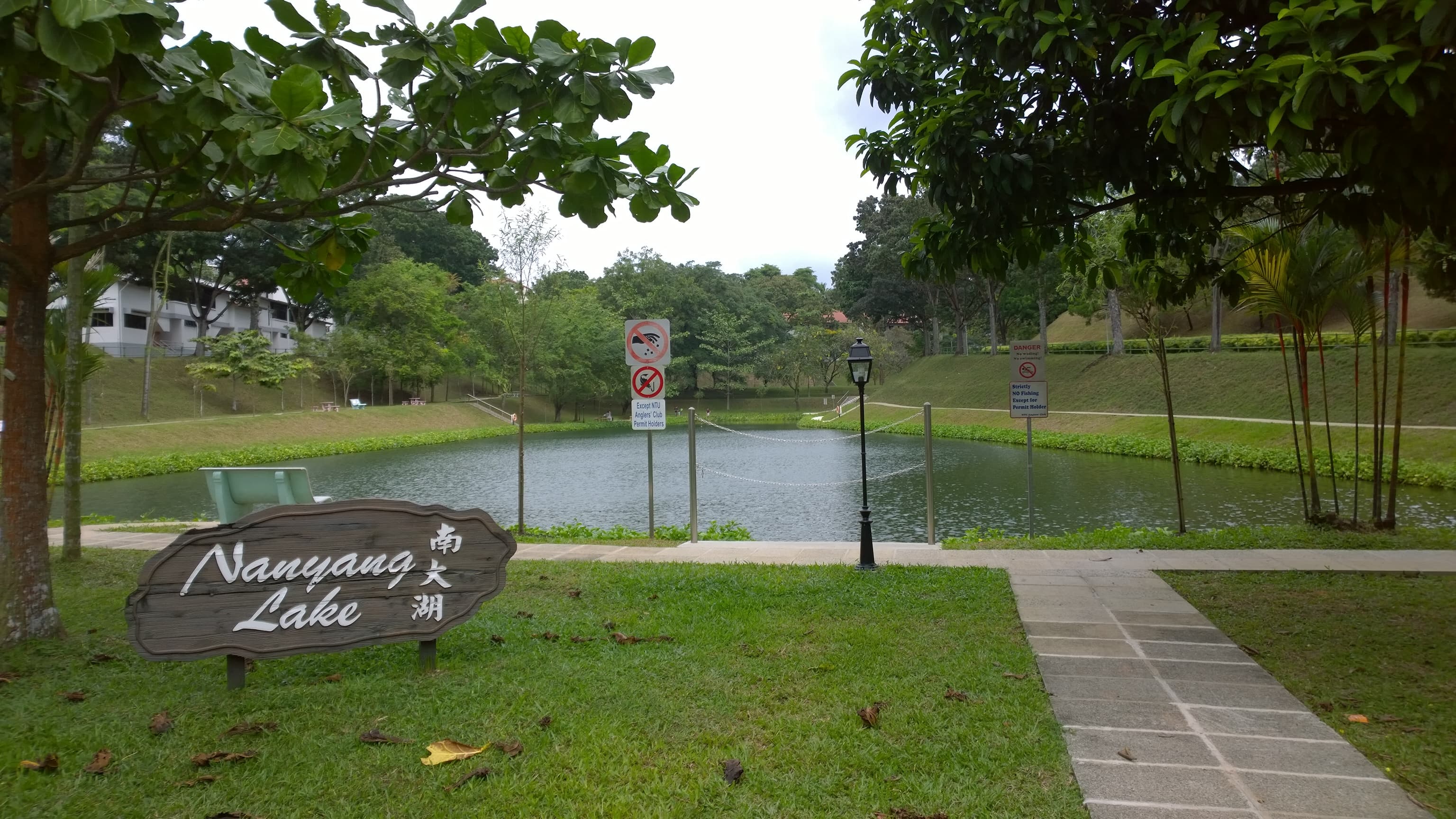 Asian university campus representing premium destination fit for study abroad